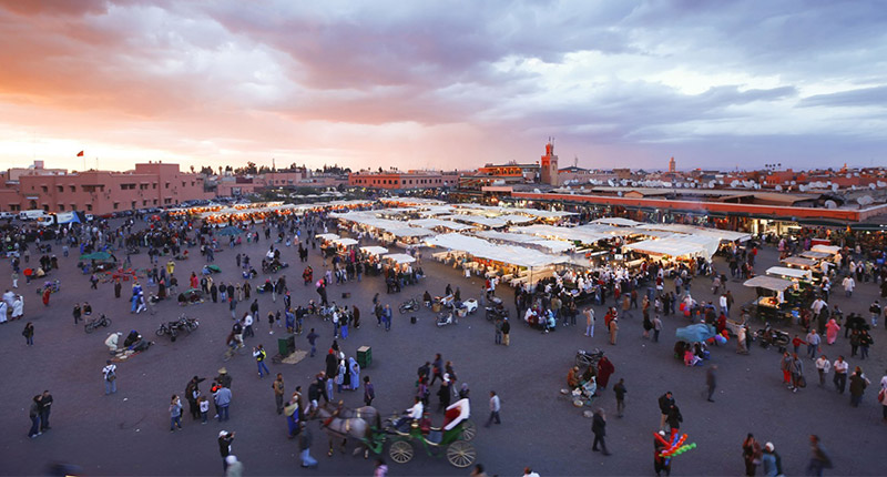 cat activities marrakech half day 1