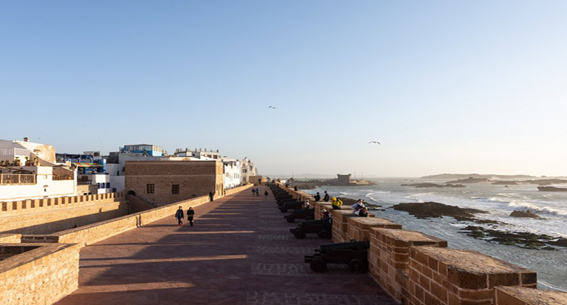 cat-essaouira-1