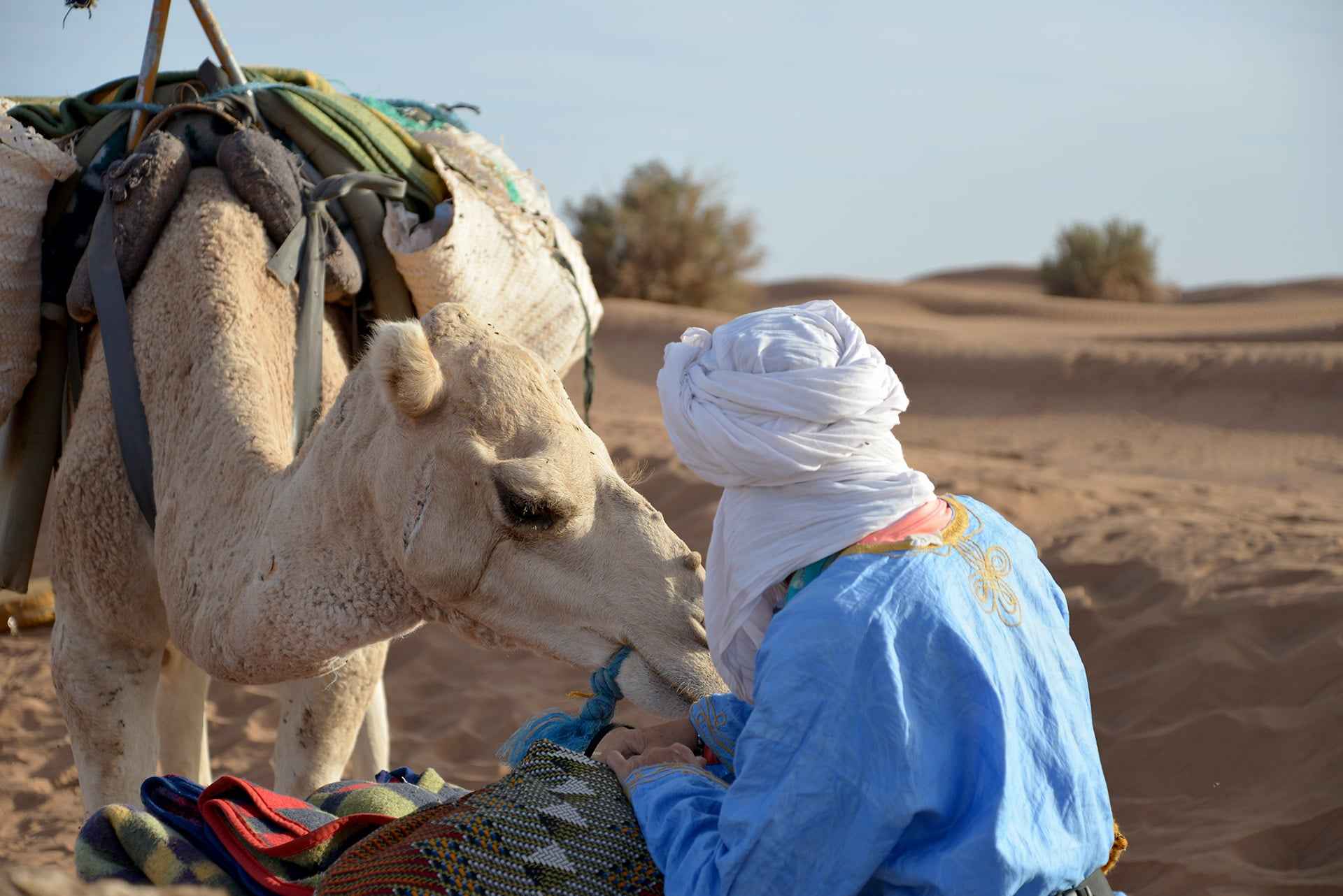 Camel Trek